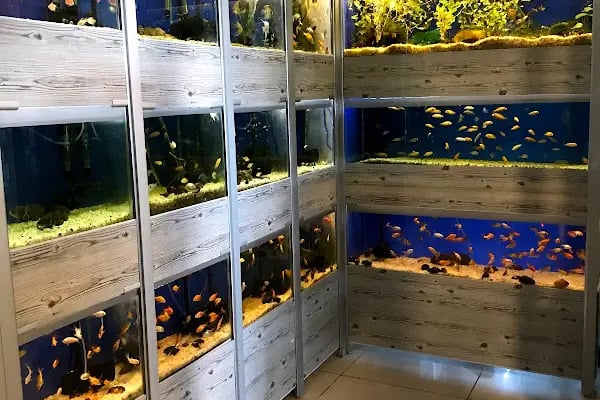 MİNNAK PETSHOP BURSA - Resim 19
