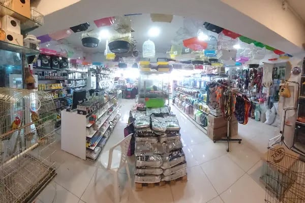 MİNNAK PETSHOP BURSA - Resim 15
