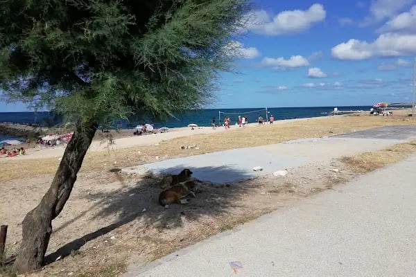 Karaburun Arka Deniz - Resim 18