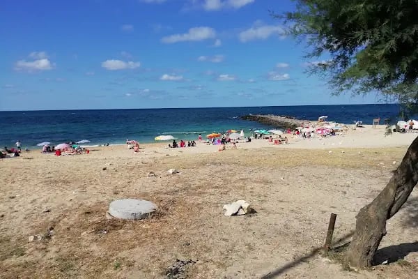Karaburun Arka Deniz - Resim 12