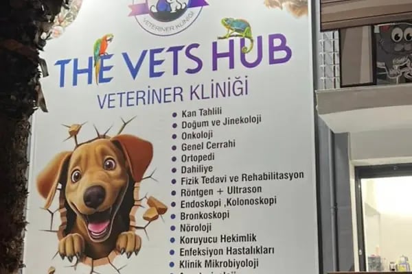 The Vets Hub Veteriner Kliniği - Resim 17