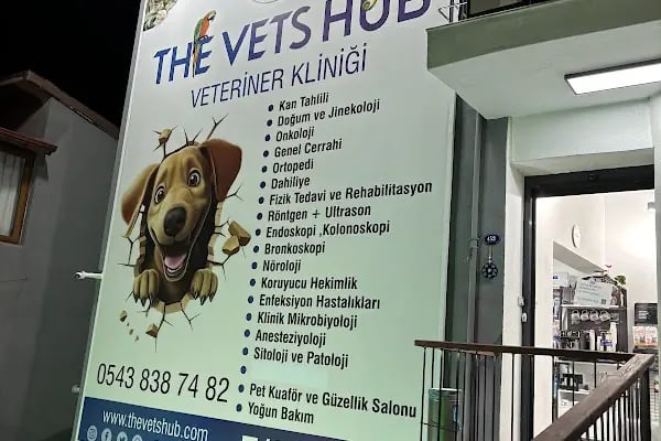 The Vets Hub Veteriner Kliniği - Resim 19