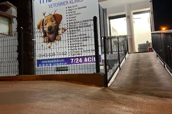 The Vets Hub Veteriner Kliniği - Resim 9