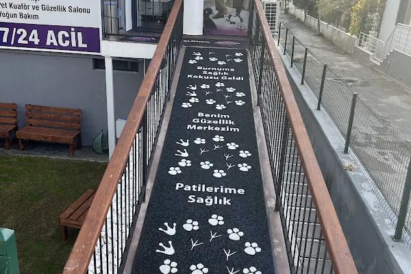 The Vets Hub Veteriner Kliniği - Resim 5