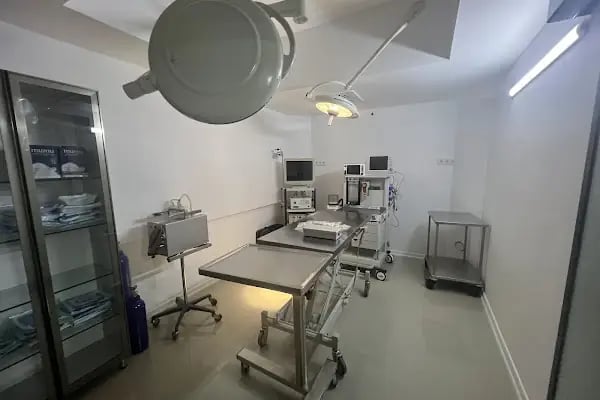 The Vets Hub Veteriner Kliniği - Resim 3