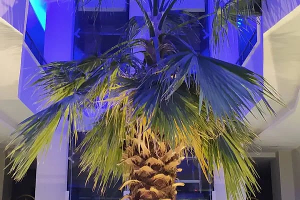İpsala Park Hotel - Resim 9