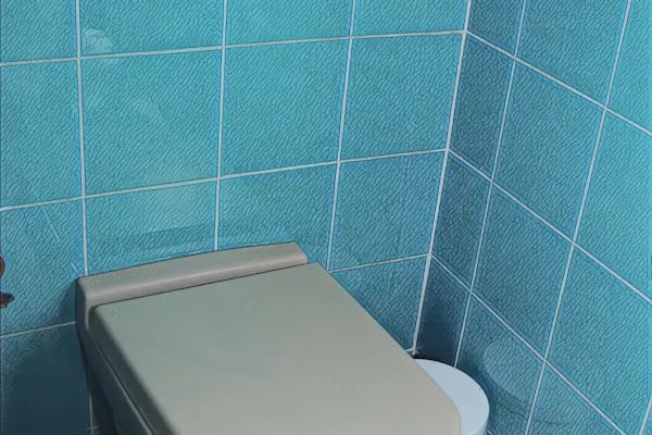 Delight Deluxe Antique Villa - Resim 10