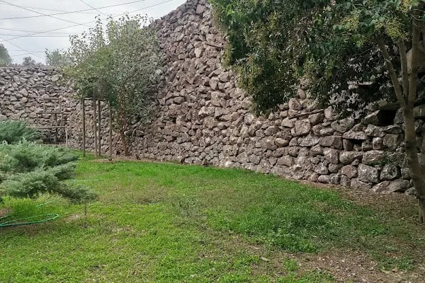 Yırtıcı Kuşlar Barınağı - Resim 10