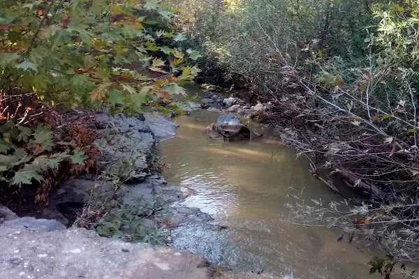 Dogal Tatil yeri - Resim 4