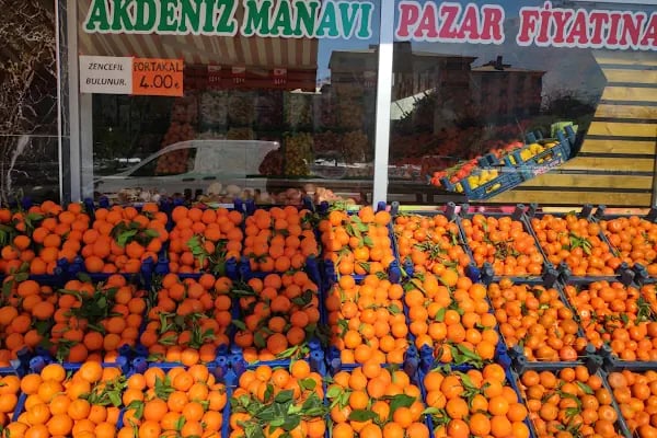 Akdeniz Manavı - Resim 3
