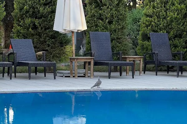 ANATOLIA BEACH RESIDENCE - Resim 17