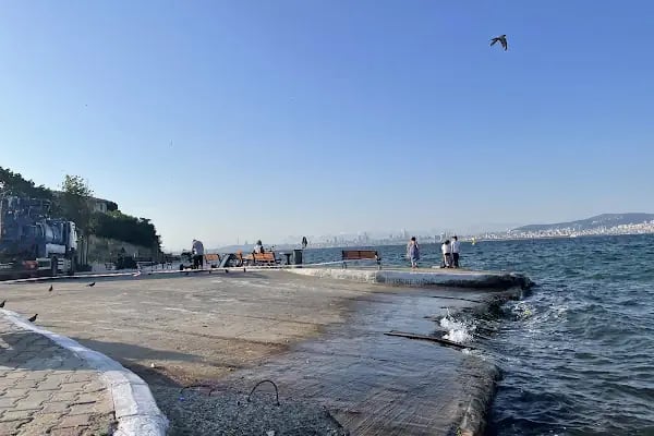 İski Heybeliada Şebeke Deposu - Resim 9