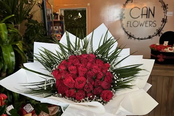 Mersin Can Flowers - Resim 20