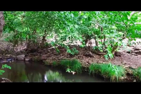 Çermik Evsel Bahçeleri - Resim 12