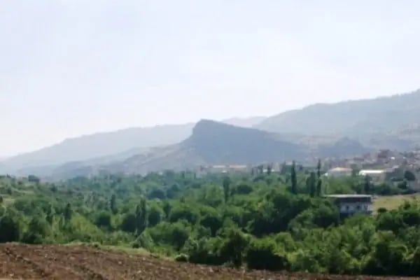 Çermik Evsel Bahçeleri - Resim 10