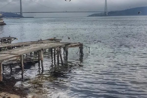 Mehmet Koçali Parkı - Resim 20