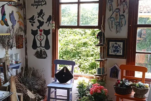 Hacettepe Üniversitesi Sosyal Bilimler Meslek Yüksekokulu - Resim 11