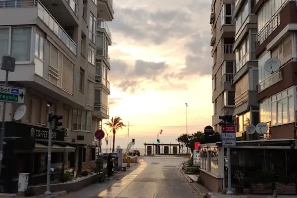 Mira Veteriner Kliniği - Resim 2