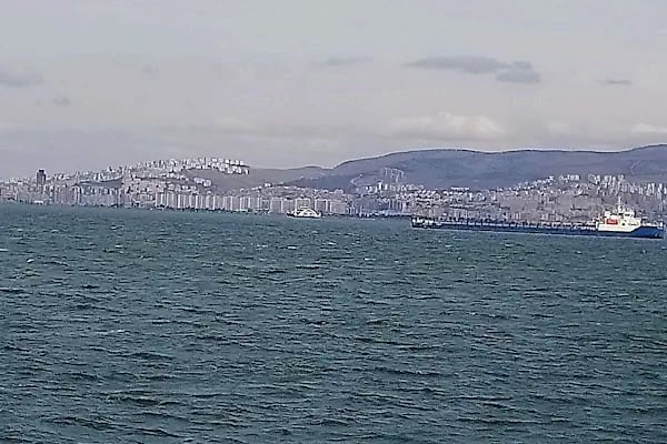 Mira Veteriner Kliniği - Resim 5