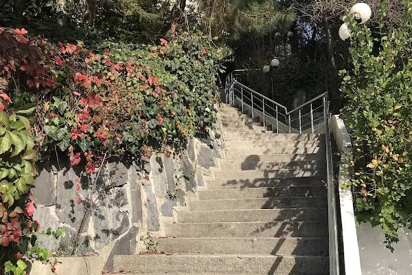 Fas Krallığı Başkonsolosluğu - Resim 13