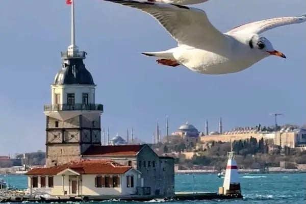 Fas Krallığı Başkonsolosluğu - Resim 9