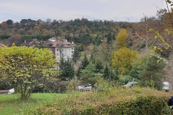 Fas Krallığı Başkonsolosluğu - Resim 8