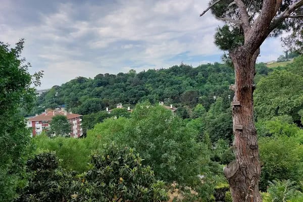 Fas Krallığı Başkonsolosluğu - Resim 2