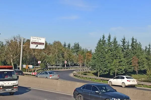 Hayat Kimya,Kostü, Yazlık ve Yeniköy sapağı - Resim 2