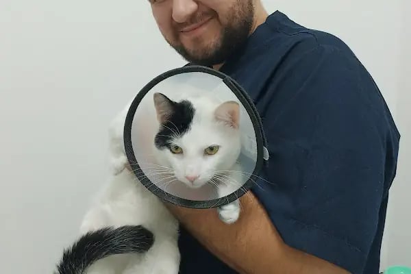 PETİZ VETERİNER KLİNİĞİ - Resim 16