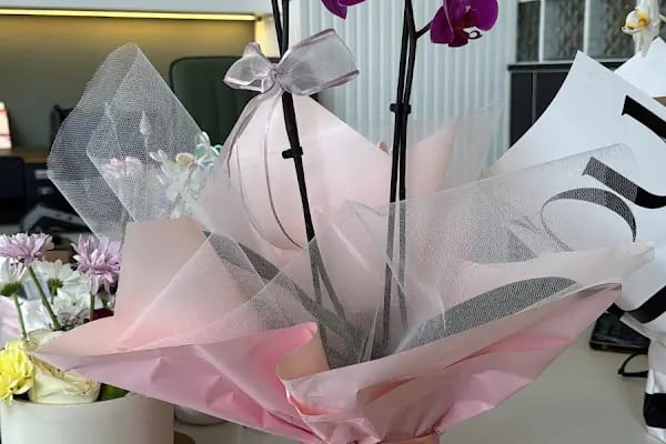 Dva Flowers - Resim 18