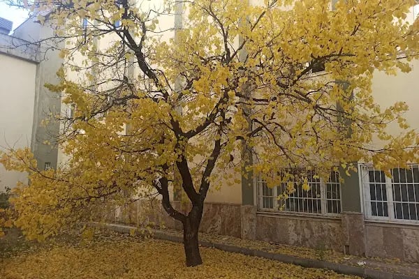 YYÜ Mimarlık ve Tasarım Fakültesi - Resim 3