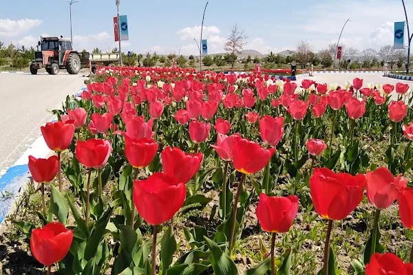 YYÜ Mimarlık ve Tasarım Fakültesi - Resim 5