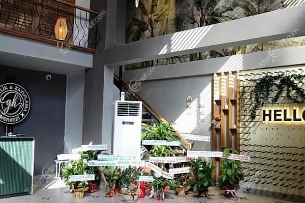 ANAMUR GH GÜZELLİK VE ZAYIFLAMA MERKEZİ - Resim 4