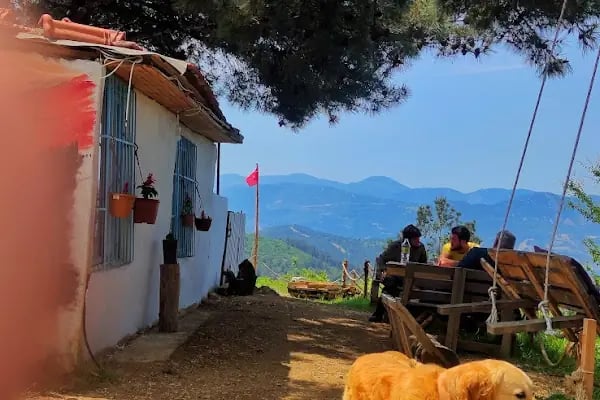 Spil Saruhanbey At Çiftliği - Resim 17