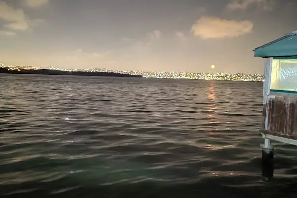 Göl Bahçe Piknik Alanı - Resim 8