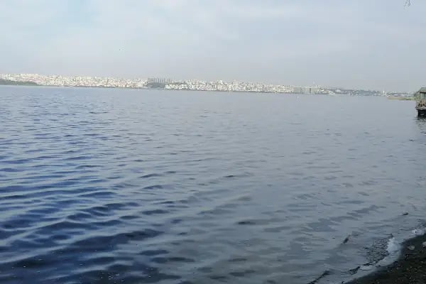 Göl Bahçe Piknik Alanı - Resim 5