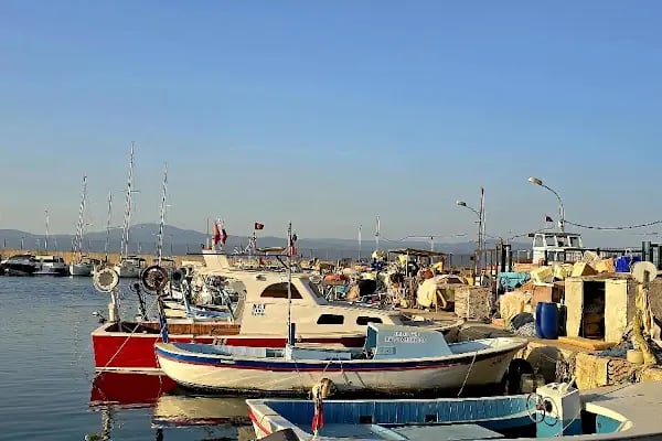 Nissi Restaurant & cafe - Resim 5
