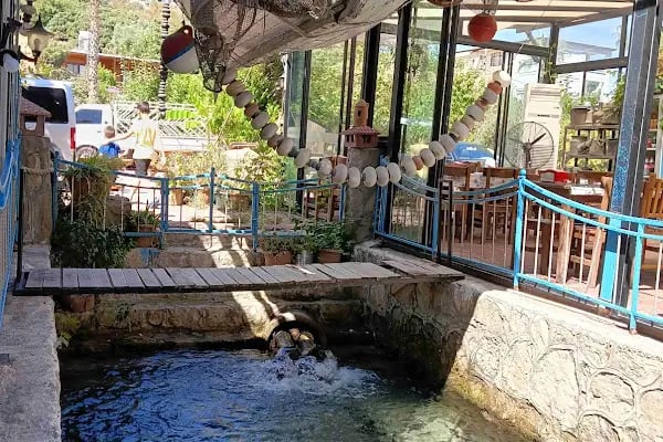 Köşk Restaurant - Resim 14