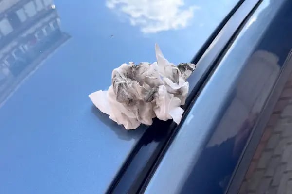 Car Oto Yıkama - Resim 3