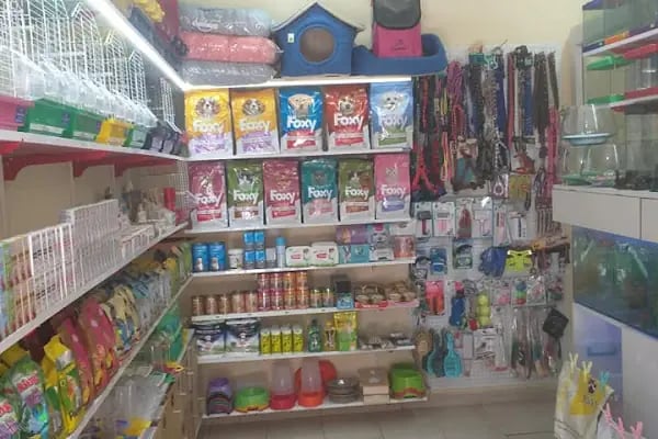 Ada PetMarket - Resim 7