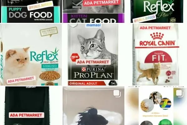 Ada PetMarket - Resim 15