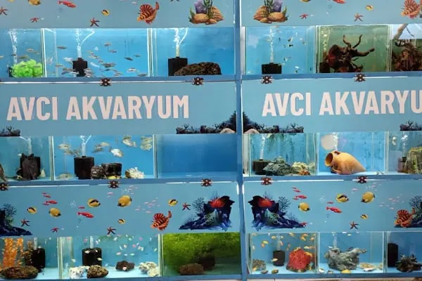HerkesePet - Toptan ve Perakende Evcil Hayvan Malzemeleri - Petshop - N&amp;D, Hill's, Royal Canin, Pro Plan, Reflex, Spectrum - Resim 12