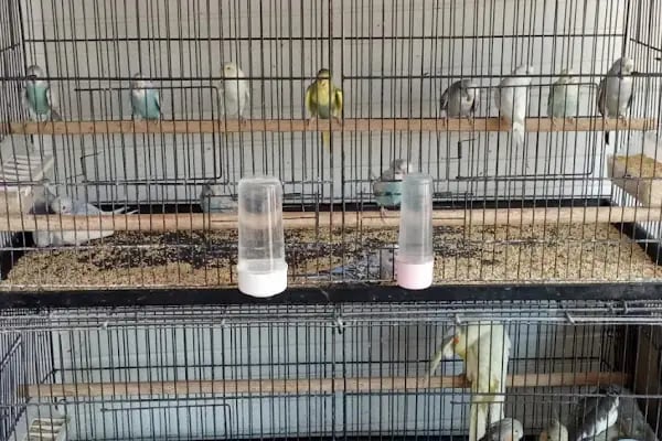 HerkesePet - Toptan ve Perakende Evcil Hayvan Malzemeleri - Petshop - N&amp;D, Hill's, Royal Canin, Pro Plan, Reflex, Spectrum - Resim 7