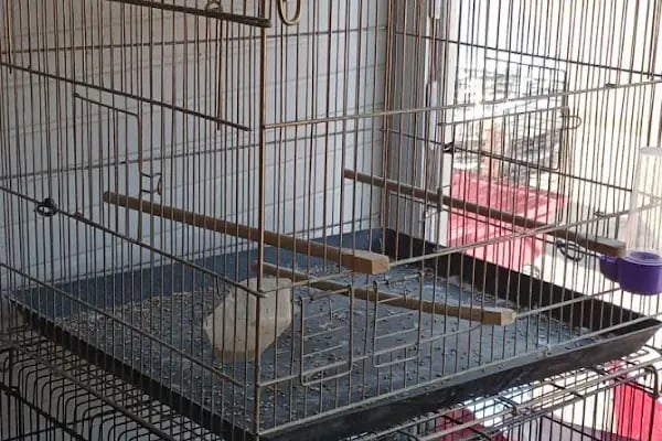 HerkesePet - Toptan ve Perakende Evcil Hayvan Malzemeleri - Petshop - N&amp;D, Hill's, Royal Canin, Pro Plan, Reflex, Spectrum - Resim 11