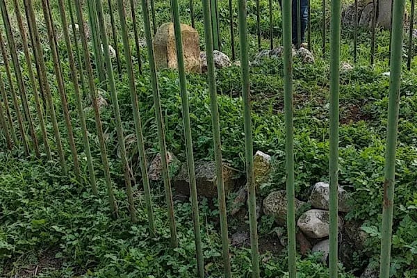 Şeyh müftah türbesi - Resim 3