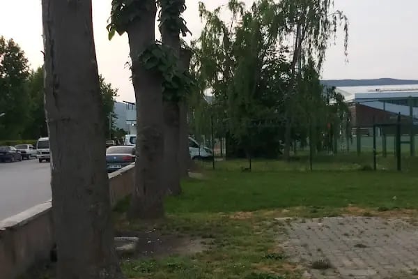 Mustafa Hallaç Pikink Alanı - Resim 7