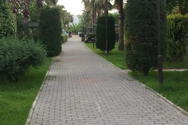 Mustafa Hallaç Pikink Alanı - Resim 15
