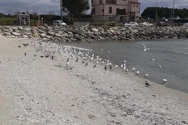 Avcılar - Resim 5