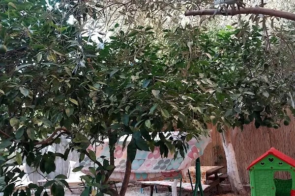 Denizim Apart Bungalov - Resim 19