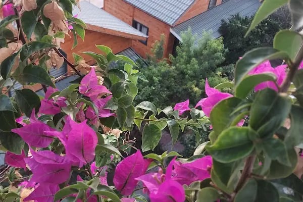 Denizim Apart Bungalov - Resim 9